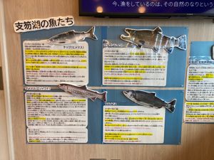 支笏湖で獲れるヒメマス料理が比較的安価に楽しめるポロピナイ食堂。
ヒメマス...