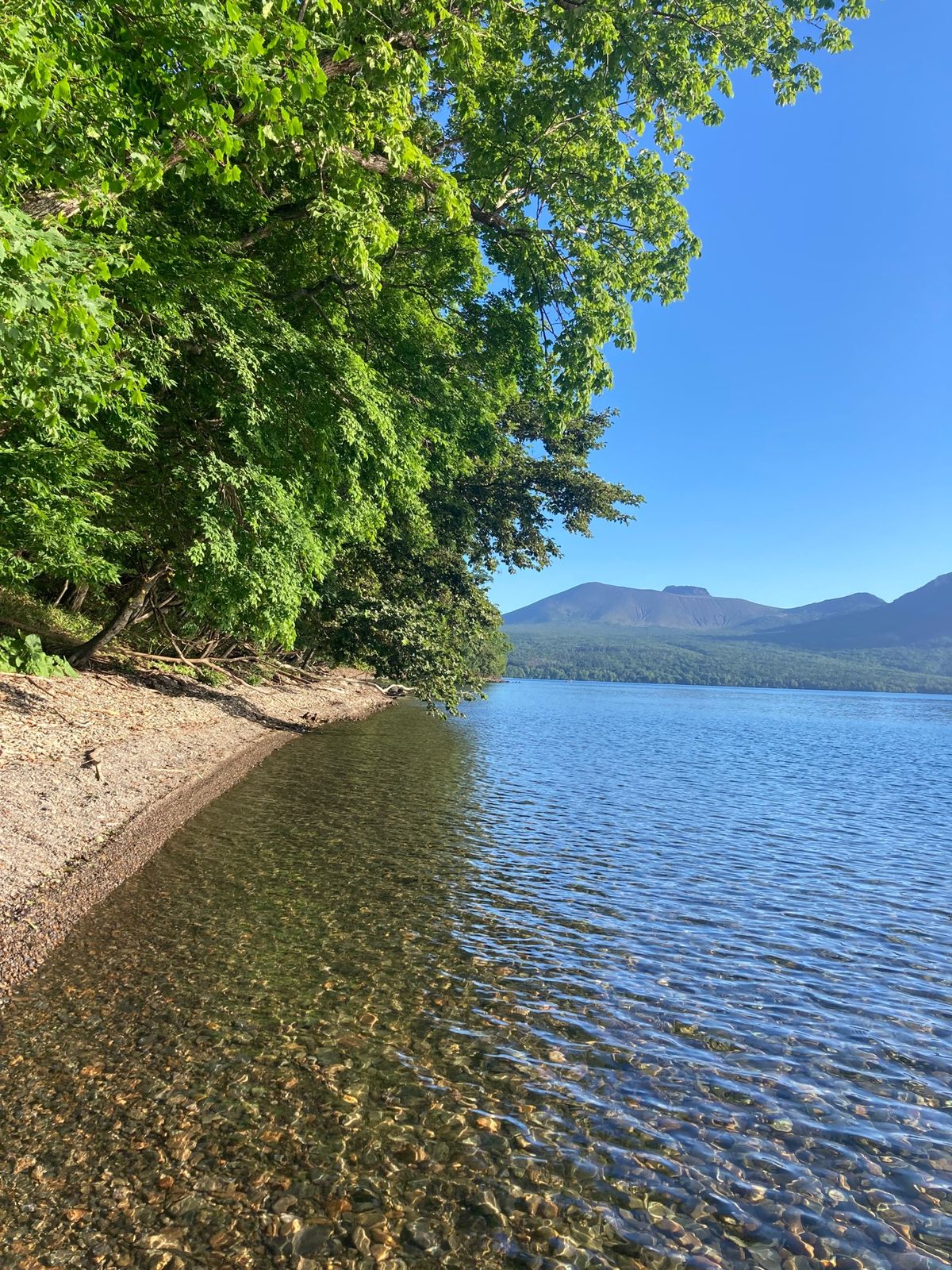 透明度日本屈指の支笏湖でSUP。
火砕流が冷え固まってできる柱状節理や水中...
