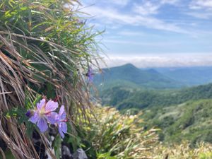 オロフレ山登山
駐車場から頂上まで1時間半程度。
山容が割と切り立っていて...