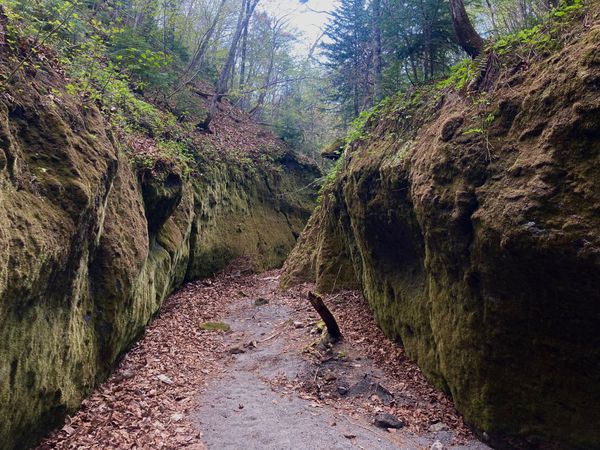 日本・北海道「出稼ぎついでの小旅行 in 北海道」の写真：@苔の回廊
火砕流が冷え固まったのちに水...