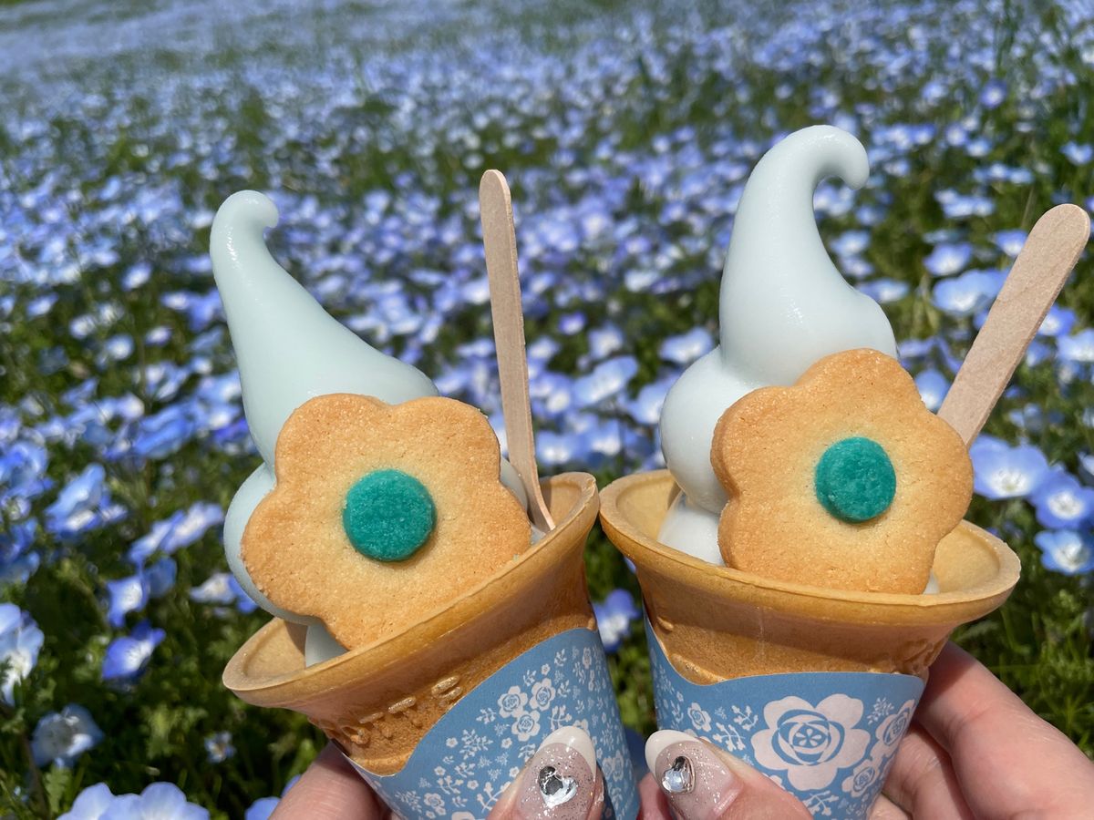 ネモフィラブルーソフト 3種類
ネモフィラ(ラムネ)/ミックス/ミルク 