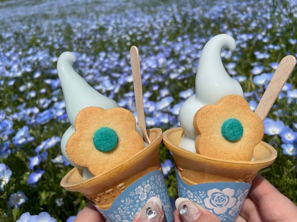 日本・茨城県「茨城・日帰りドライブ🚗³₃」の写真：ネモフィラブルーソフト 3種類
ネモフィ...