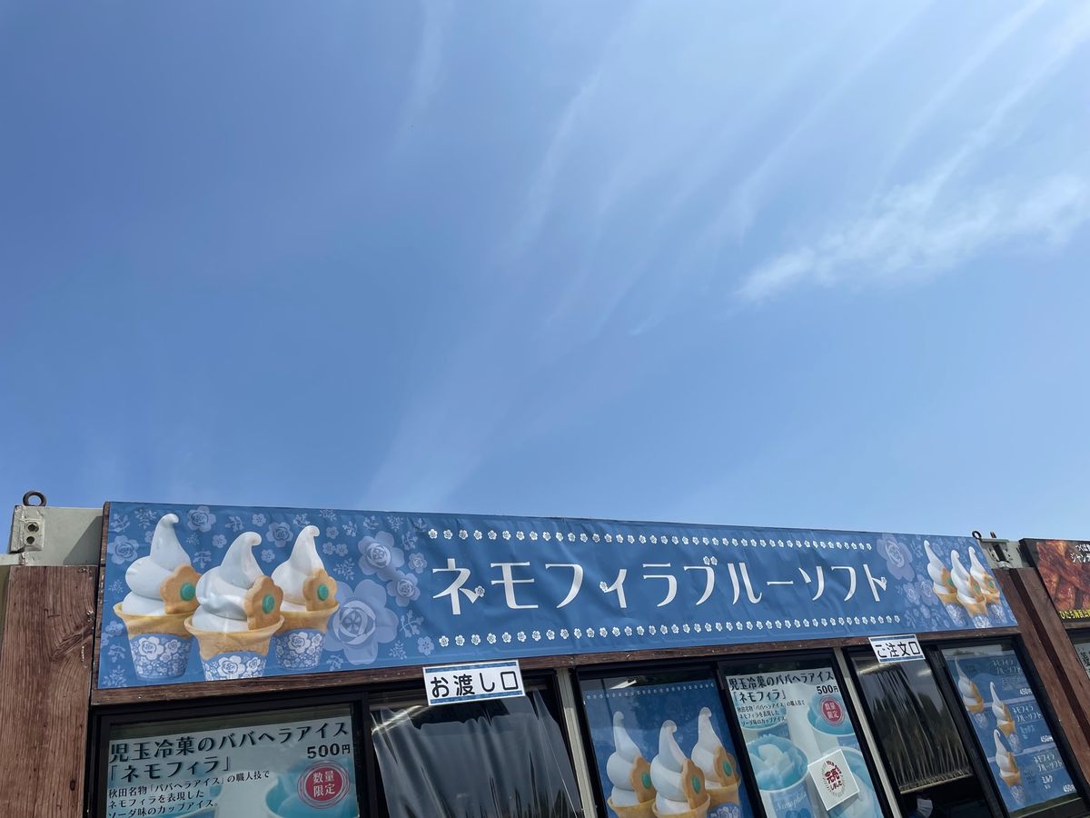 ネモフィラブルーソフト 3種類
ネモフィラ(ラムネ)/ミックス/ミルク 