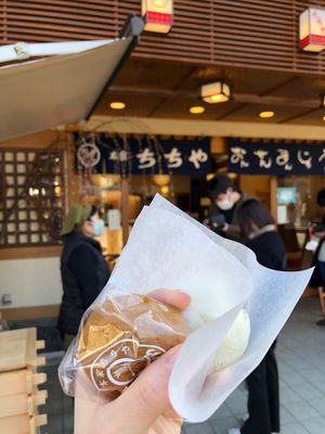 温泉まんじゅう
蒸しと普通のやつ。
揚げまんじゅうも食べたぞ😳
色々な種類...