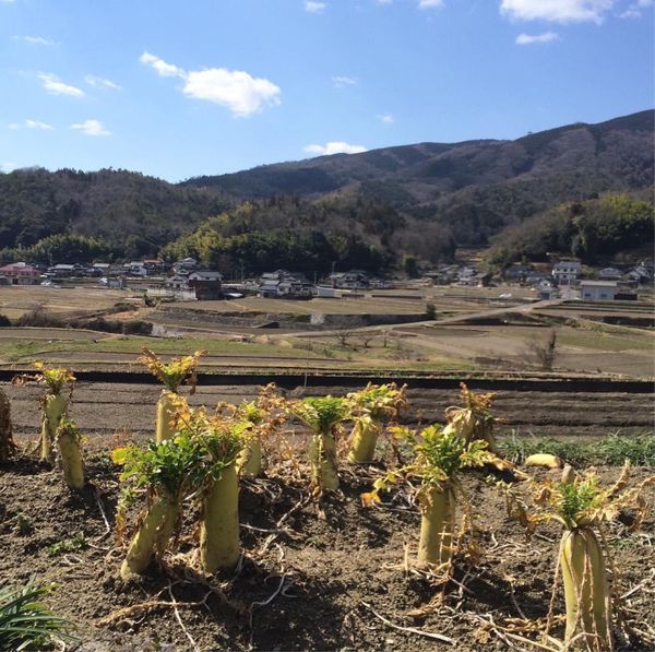 日本・岡山県「知人を訪ねて」の写真