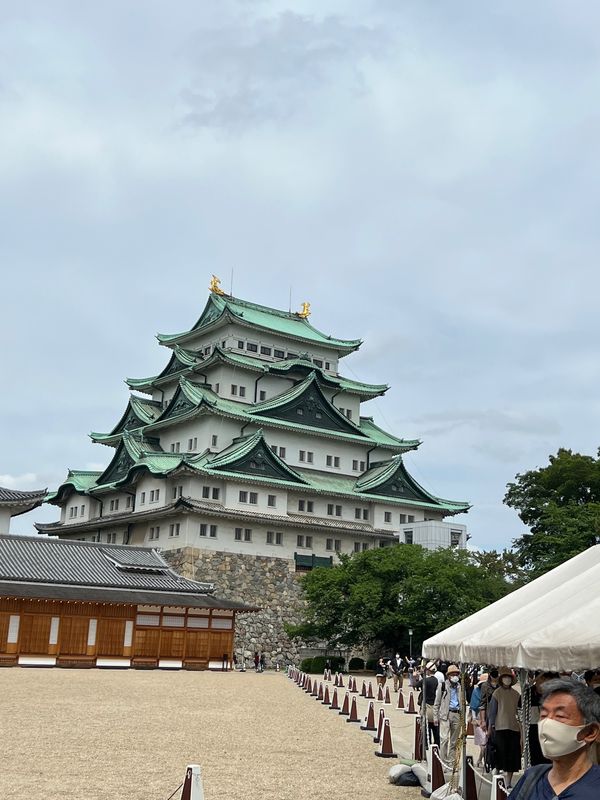 日本・静岡県「城めぐり」の写真：名古屋城