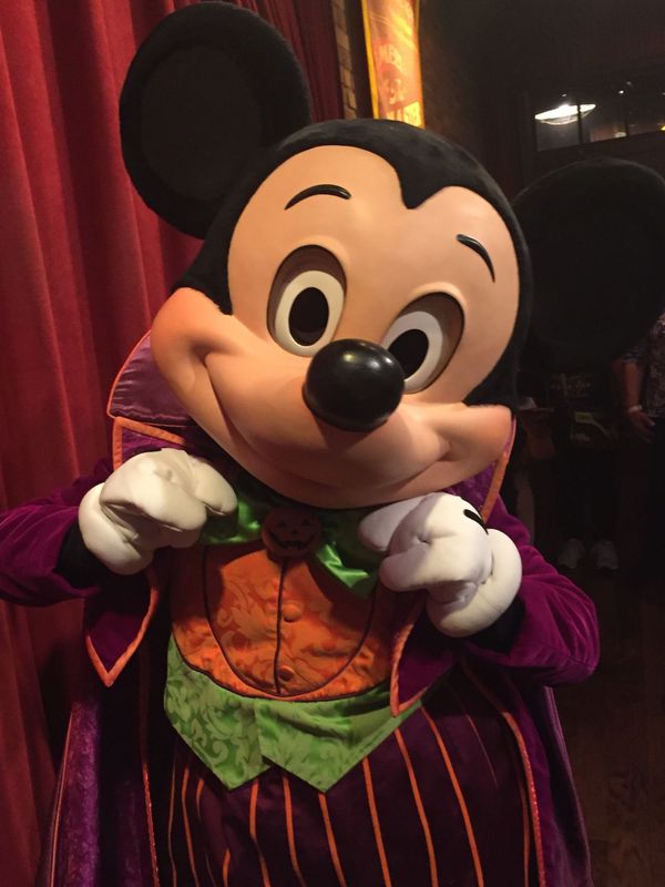 アメリカ(米国)・オーランド「WDW🏰」の写真：WDWまた、いつか行きたい場所
しゃべる...