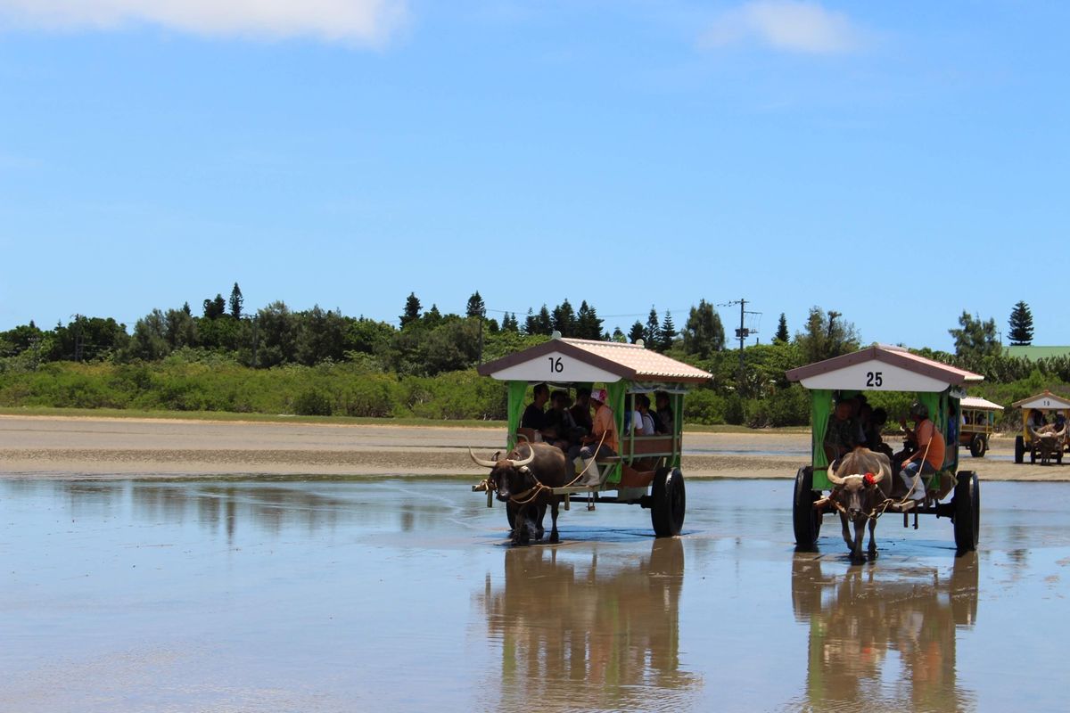 大好きな場所になりました🫶

1日目　ついてすぐ竹富島で自転車借りて島散策...
