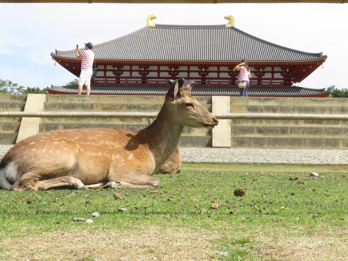 奈良市を散策