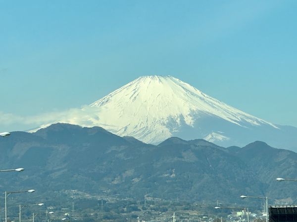 日本・静岡県「河津桜」の写真：桜🌸ちょっと葉桜になり始めてました。
沼...