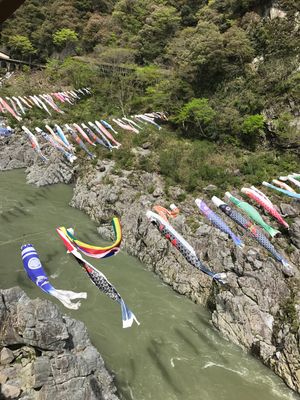 今度は、うどん屋めぐりや道後温泉ゆっくりしたいな♨️