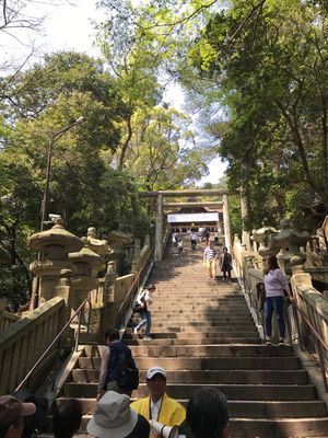 今度は、うどん屋めぐりや道後温泉ゆっくりしたいな♨️