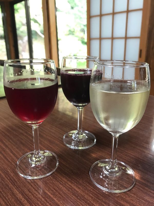 日本・長野県「渋温泉と秘湯瀧乃湯♨️」の写真：ぶどう寺🍇山梨からの
渋温泉♨️めぐり
...