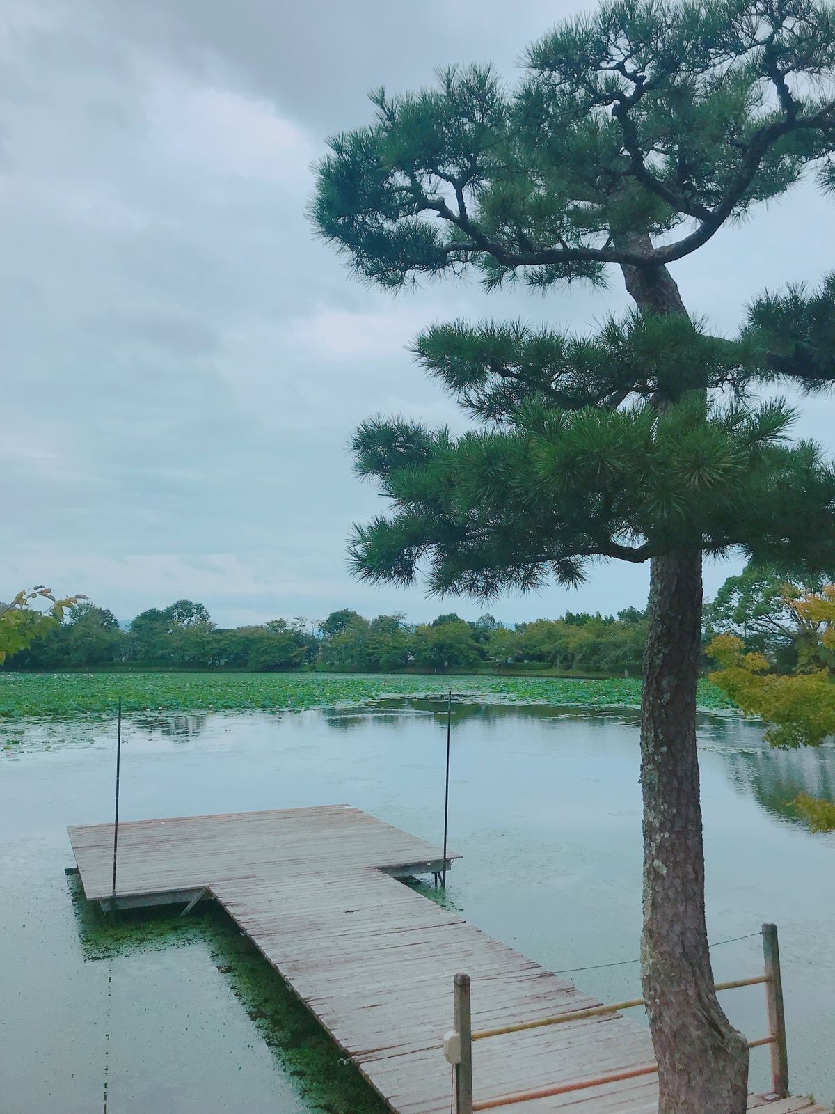 ひとり京都⛩
ヒト気がないところへ。こういうところ好き
京都のこういうとこ...