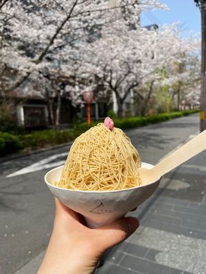 桜とご飯