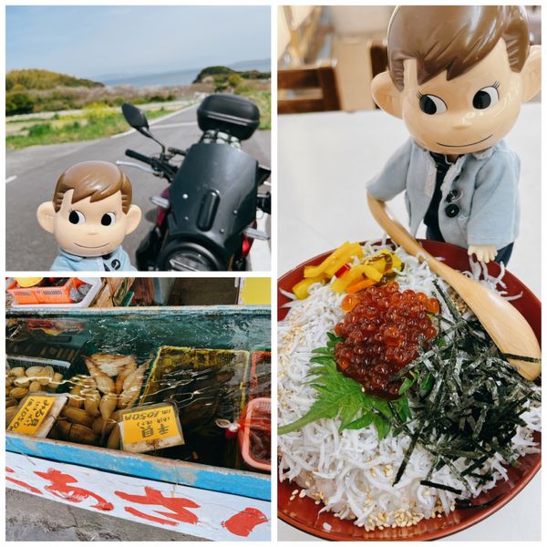 日本・愛知県「知多半島ツーリング」の写真：味里でシラスいくら丼1200円