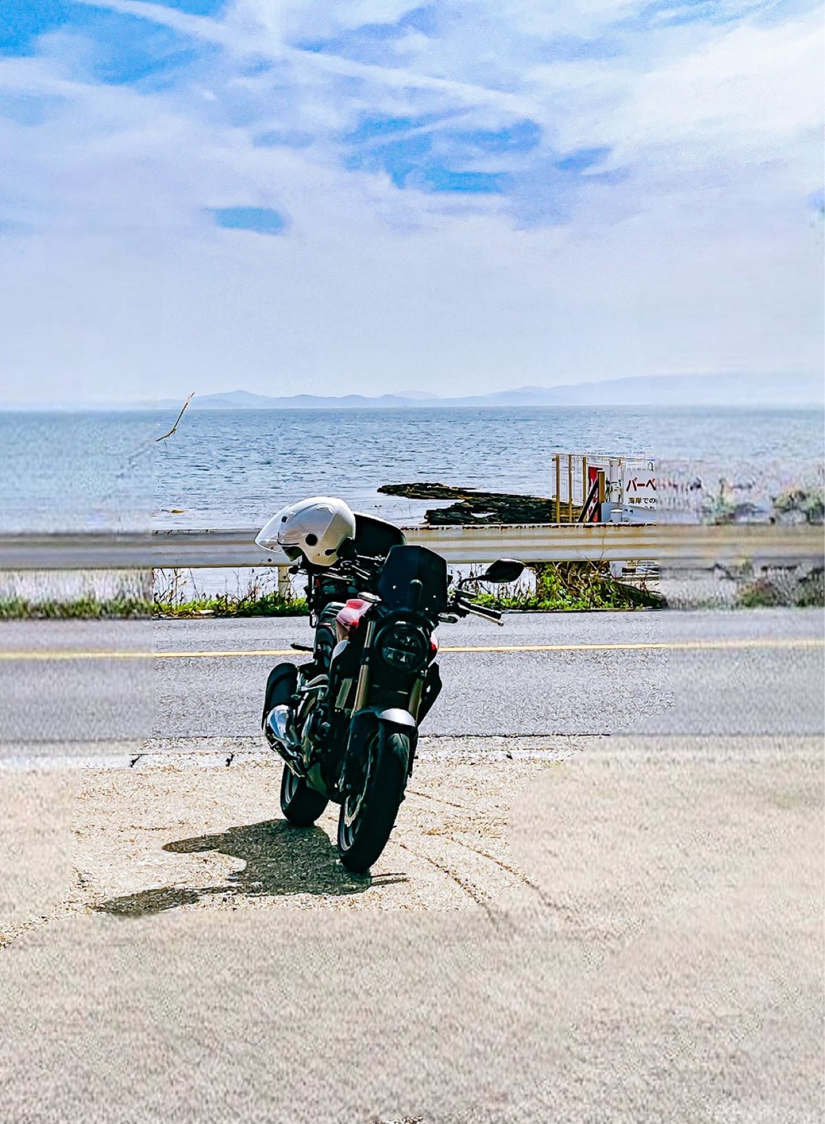 南知多にある「ジャコデス」世にも珍しいジャコソフト🍦があります。見た目は悪...