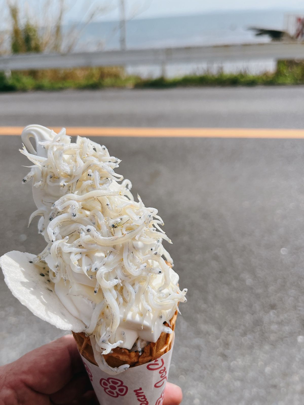 南知多にある「ジャコデス」世にも珍しいジャコソフト🍦があります。見た目は悪...