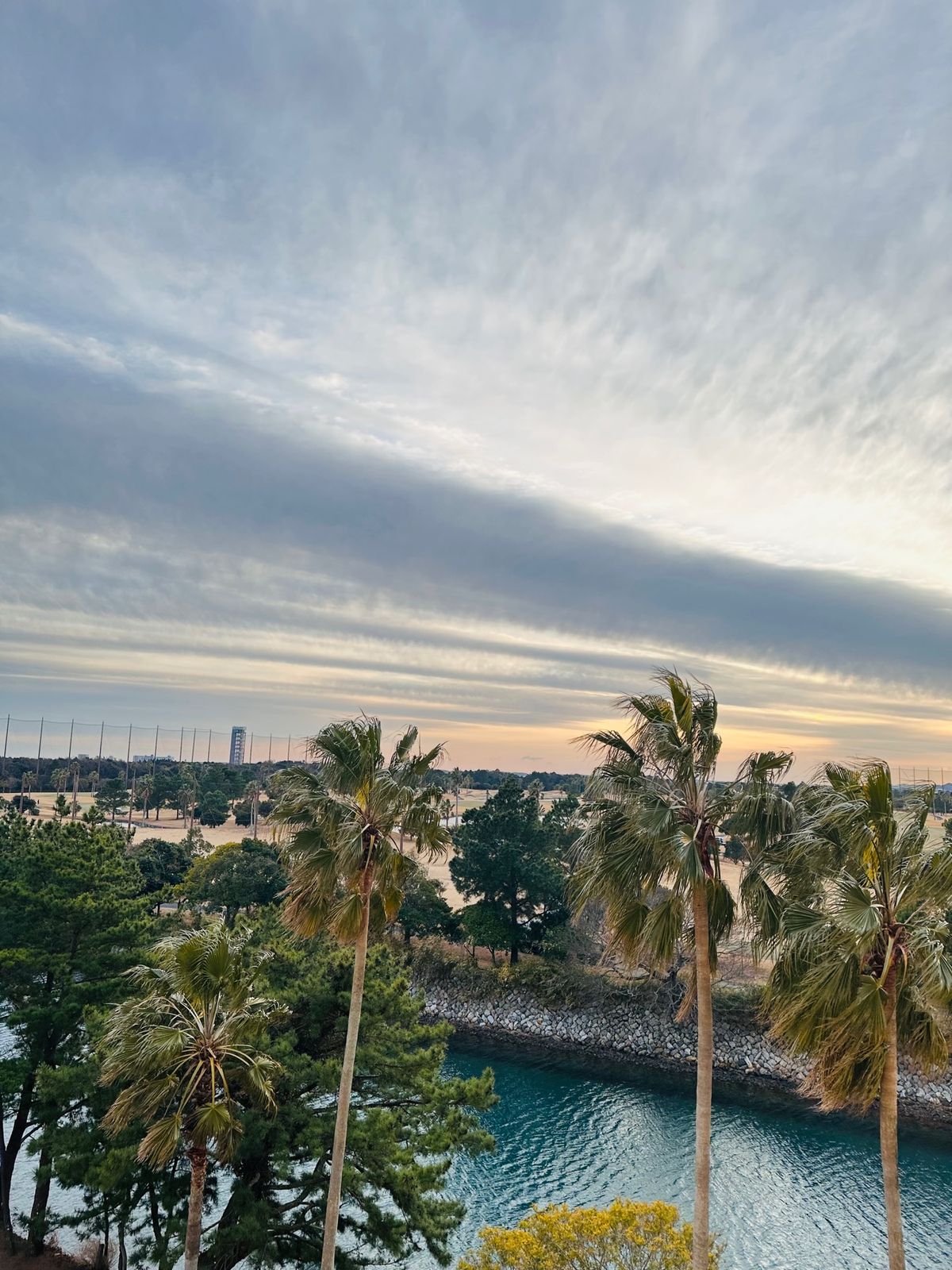 部屋から見た風景や部屋の内装です、参考になればと思いあげました。