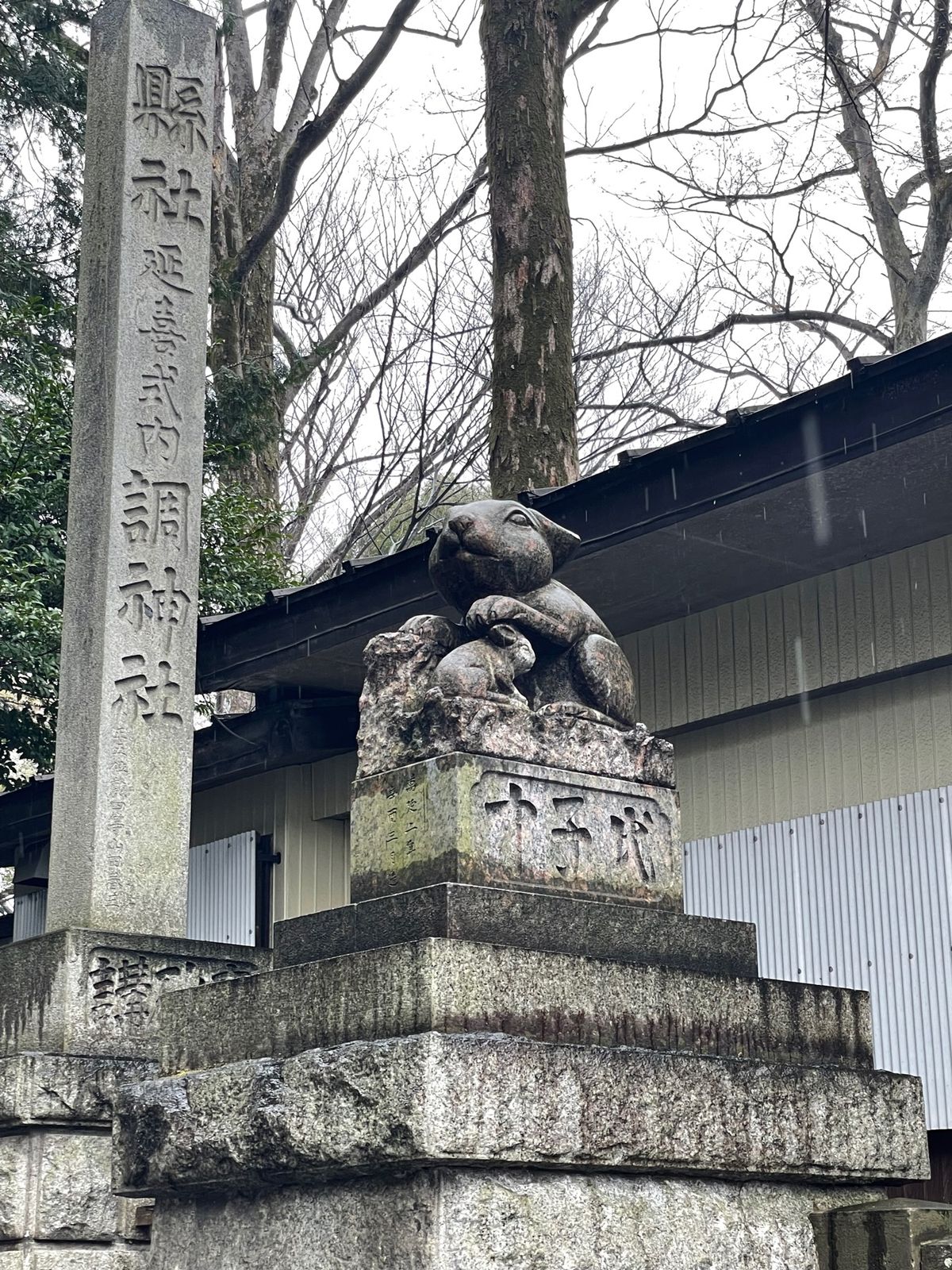 幸手権現堂桜堤🌸
調神社⛩
櫻木神社⛩