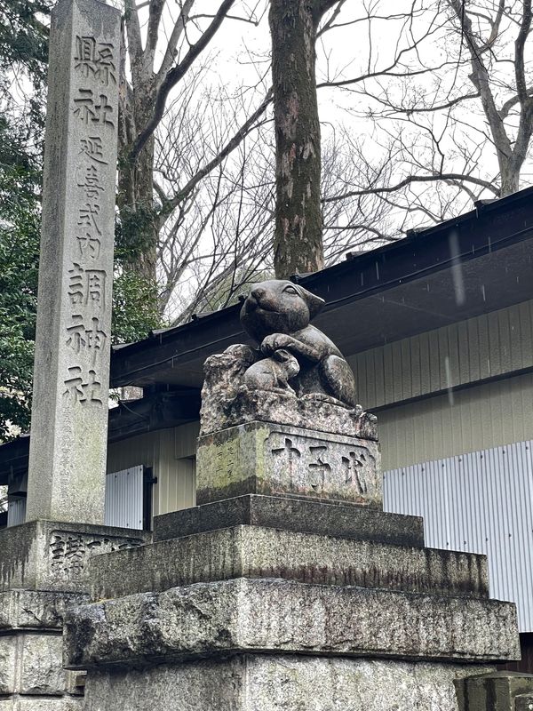 日本・千葉県「川越・幸手」の写真：幸手権現堂桜堤🌸
調神社⛩
櫻木神社⛩