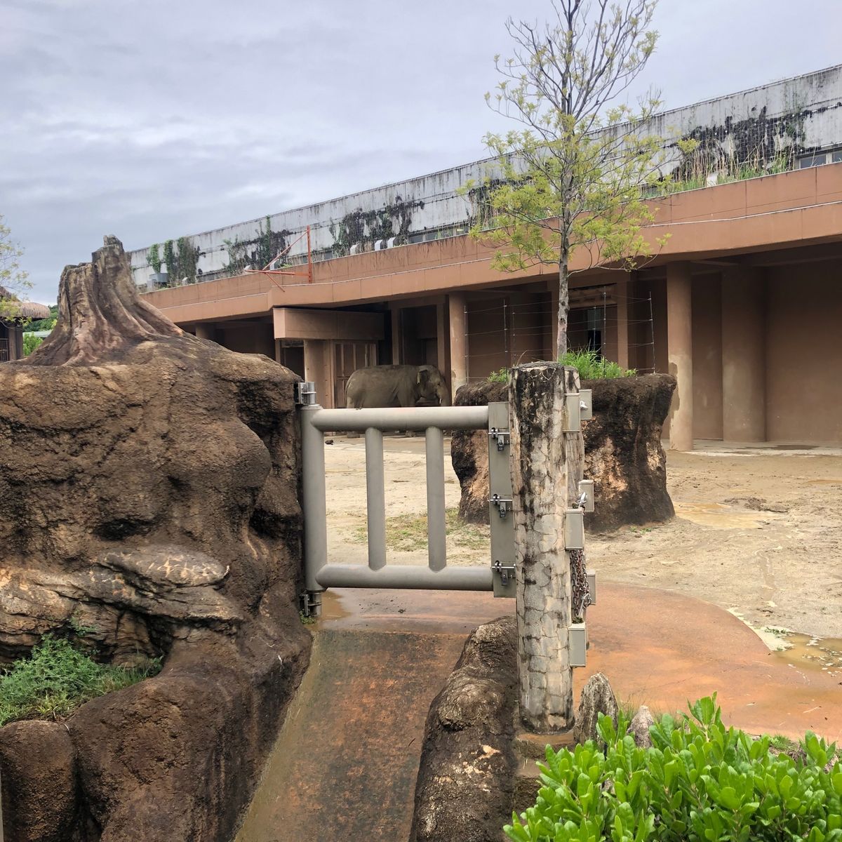 1日目熱田神宮　2日目名古屋城　3日目東山動物園