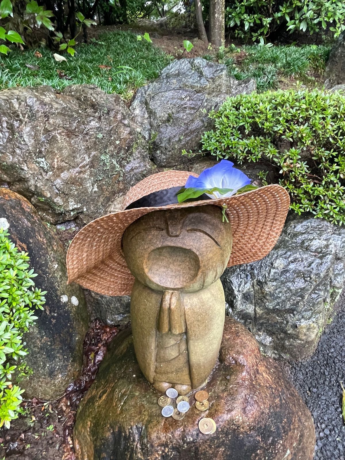 宝徳寺　風鈴まつり　床もみじ間に合わず