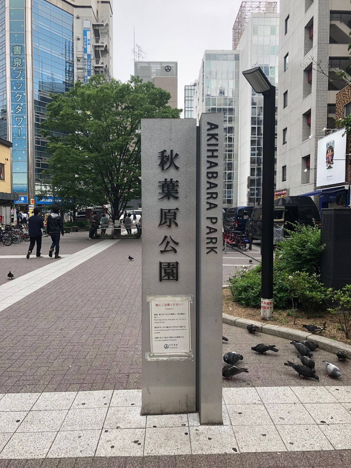 ３日目は雨に振られたのが残念