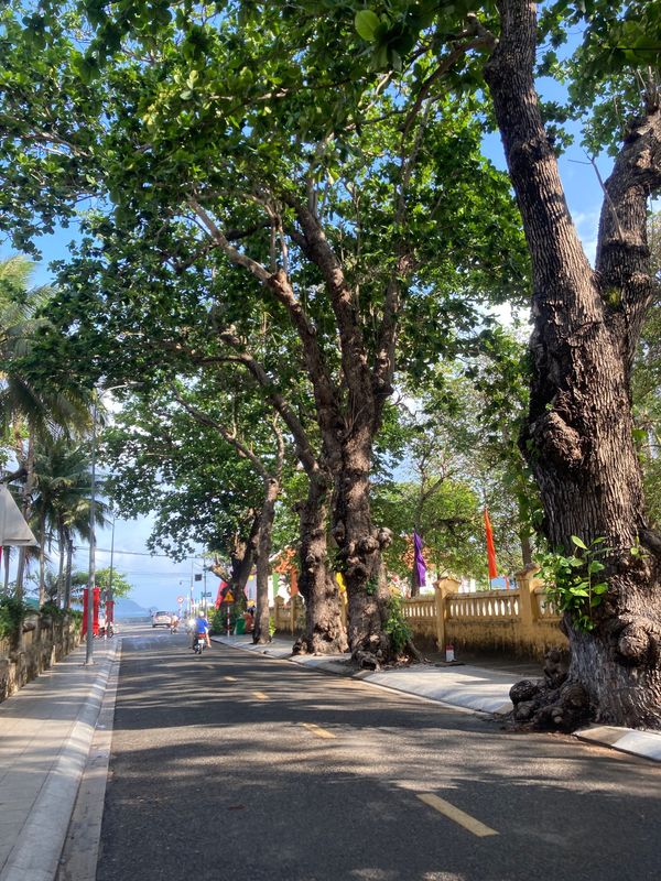 ベトナム「ベトナム」の写真：ベトナムも大型連休中なので、予想通り混ん...