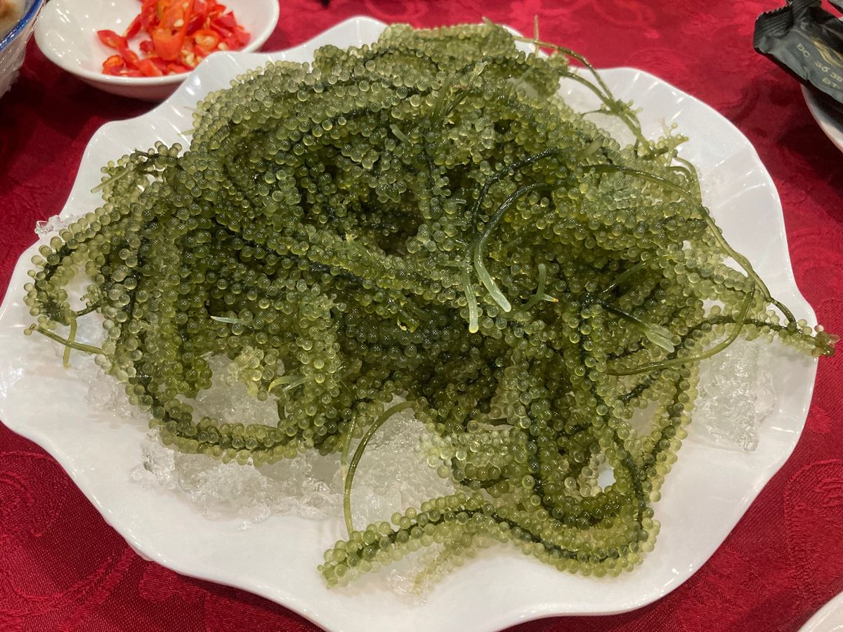 前回は良かったquán Tri Kỷ(別投稿参照)が魚介類が時価ばかりの面...