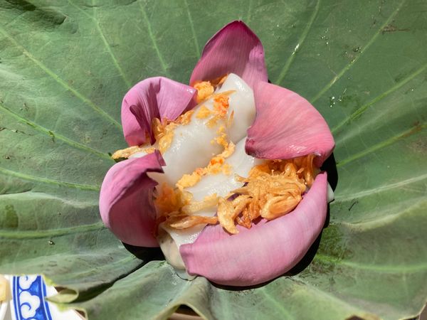 ベトナム「ベトナム」の写真：20回くらいは行っている1区Ngô Vă...