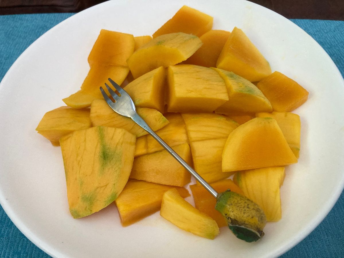 今が旬の友達の家に植っているマンゴー、搾りたてオレンジジュース