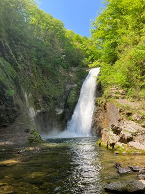 中尊寺
松島
仙台うみの杜水族館
秋保大滝