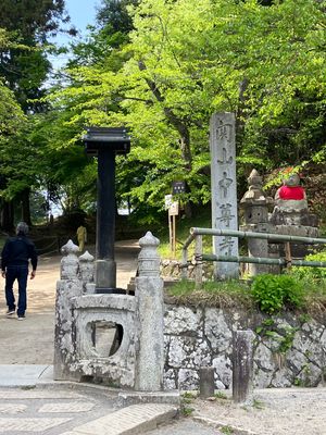 中尊寺
松島
仙台うみの杜水族館
秋保大滝