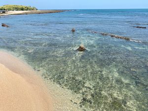 綺麗な海！
想像通りです。
これを見に来たかった宮崎。