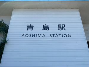 バスに乗って青島に来ました。
宮崎名物釜揚げうどんと魚ずし。
名前は魚種で...