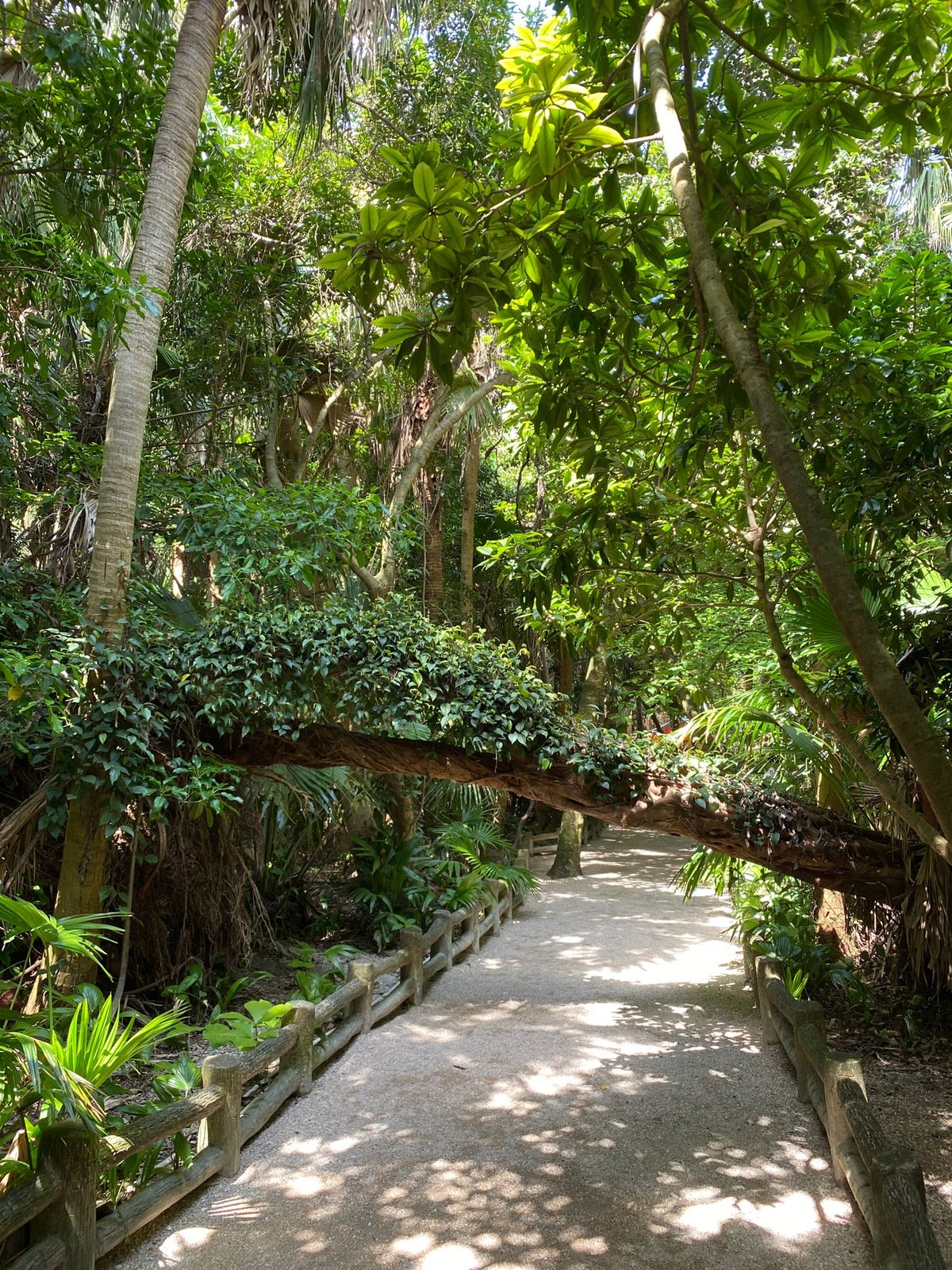 青島神社。
島にある神社って、それだけで神秘的。
