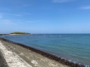 綺麗な海！
想像通りです。
これを見に来たかった宮崎。