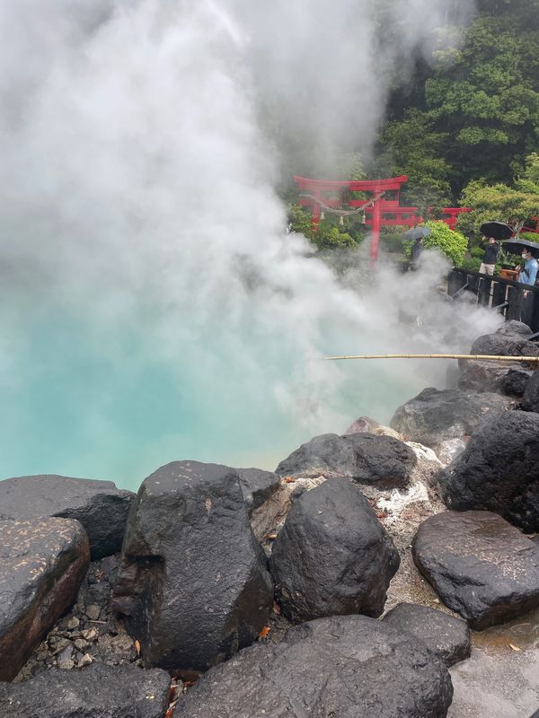 日本・京都府「九州・近畿旅行」の写真