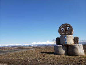 白金青い池→四季彩の丘何も咲いておらず→旭川ラーメン→層雲峡温泉♨️→滝→...