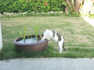 出会いに救われた。ほんとそれで宮古島好きになった🫶

地元の食堂、すごい安...