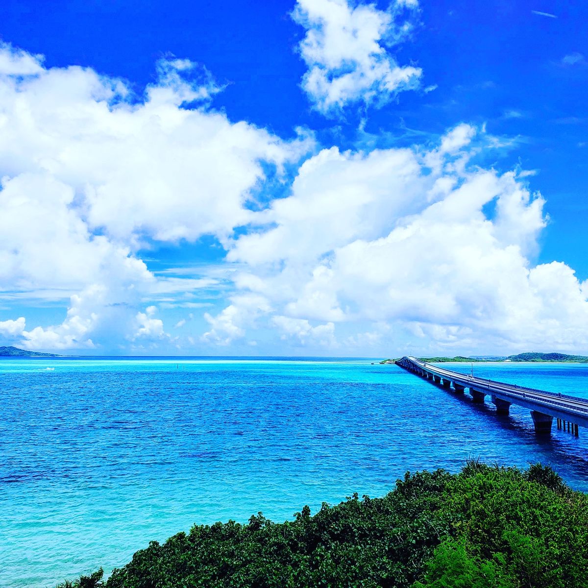 出会いに救われた。ほんとそれで宮古島好きになった🫶

地元の食堂、すごい安...