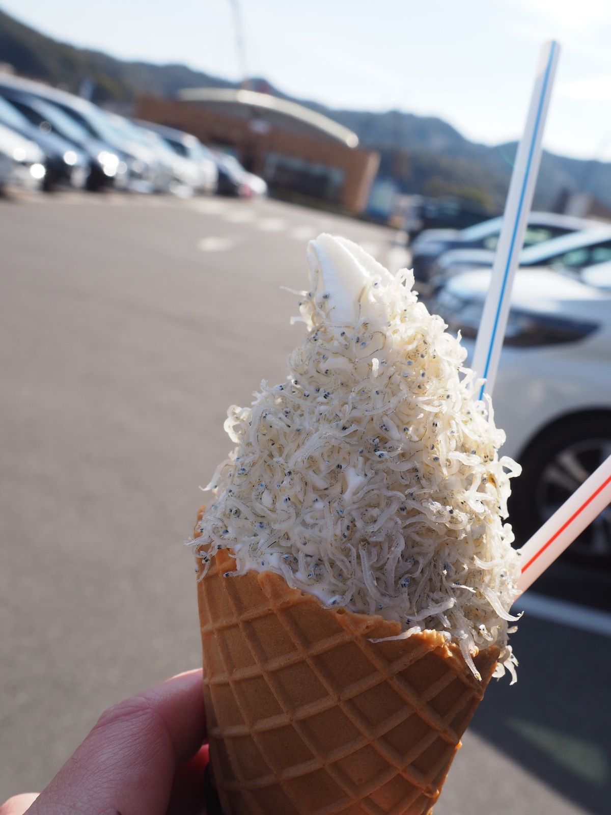 淡路島　食べ歩き

しらすソフト
玉ねぎスープ　と　ハンバーガー