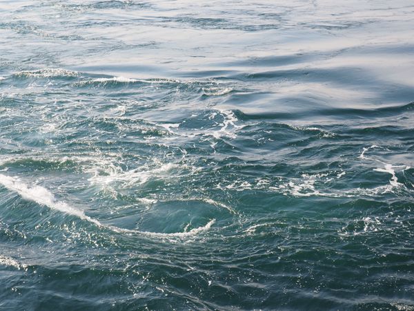 日本・姫路城「兵庫、淡路島」の写真