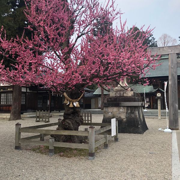 日本・富山県高岡市「高岡」の写真