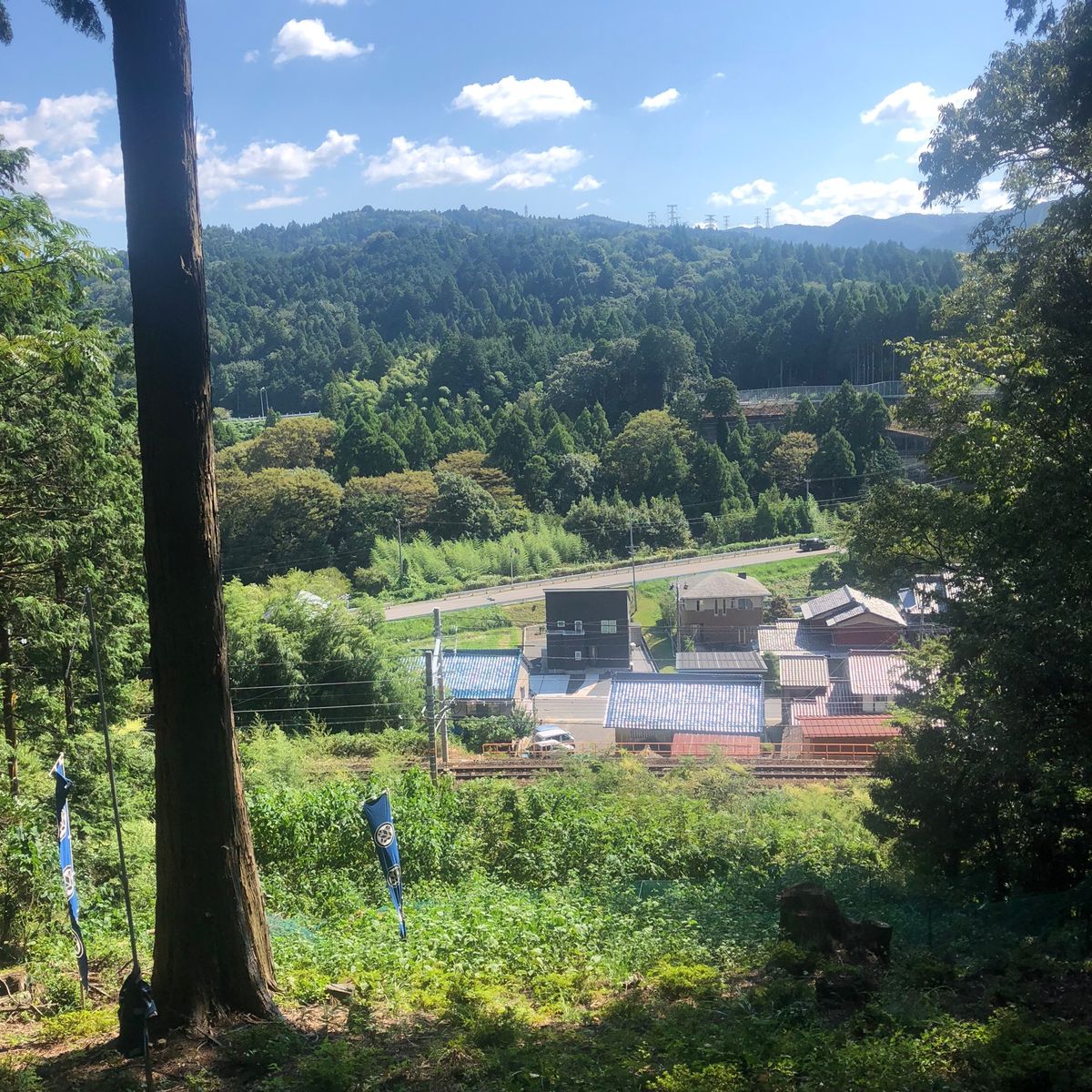 山地なので結構虫に刺されました