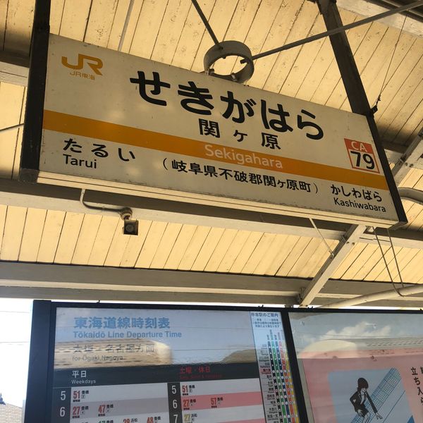 日本・岐阜県「関ヶ原」の写真：山地なので結構虫に刺されました