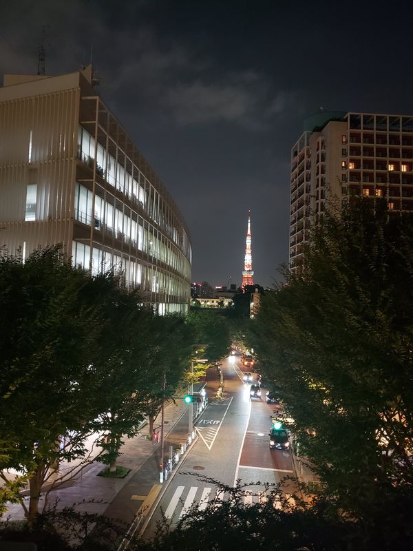 日本・東京都「六本木グランドハイアットと谷中散策」の写真：グランドハイアットのインルームダイニング...