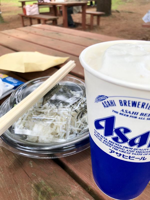 日本・茨城県「国営ひたち海浜公園 〜ネモフィラ」の写真