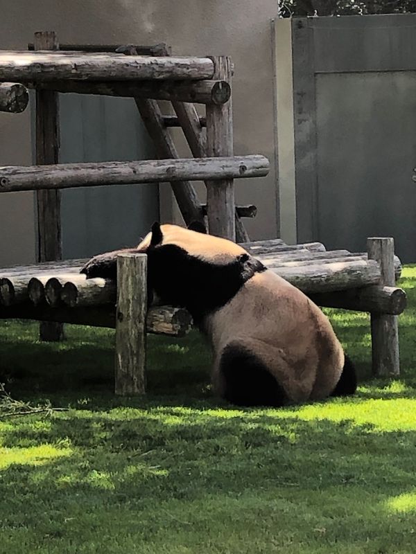 日本「白浜」の写真